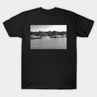 A view across the River Ant from Barton Turf staithe T-Shirt